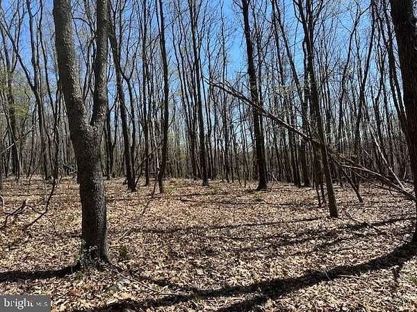 2.6 Acres of Residential Land for Sale in Romney, West Virginia