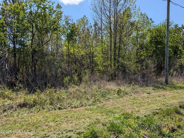0.6 Acres of Residential Land for Sale in Chinquapin, North Carolina