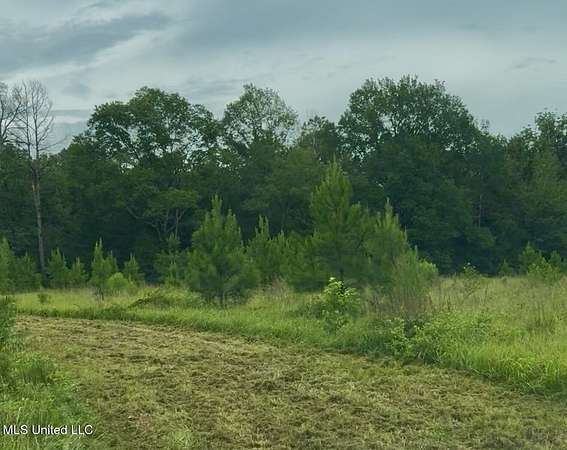22 Acres of Recreational Land for Sale in Crystal Springs, Mississippi