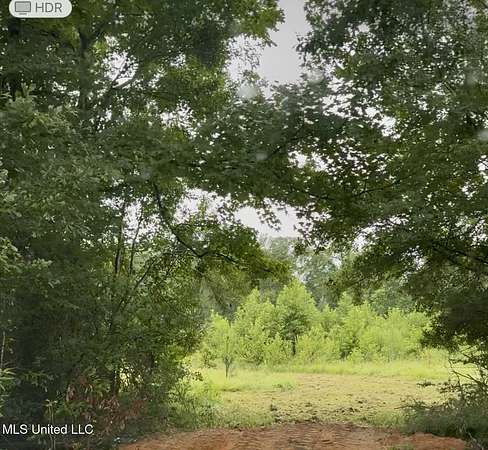 6 Acres of Land for Sale in Crystal Springs, Mississippi