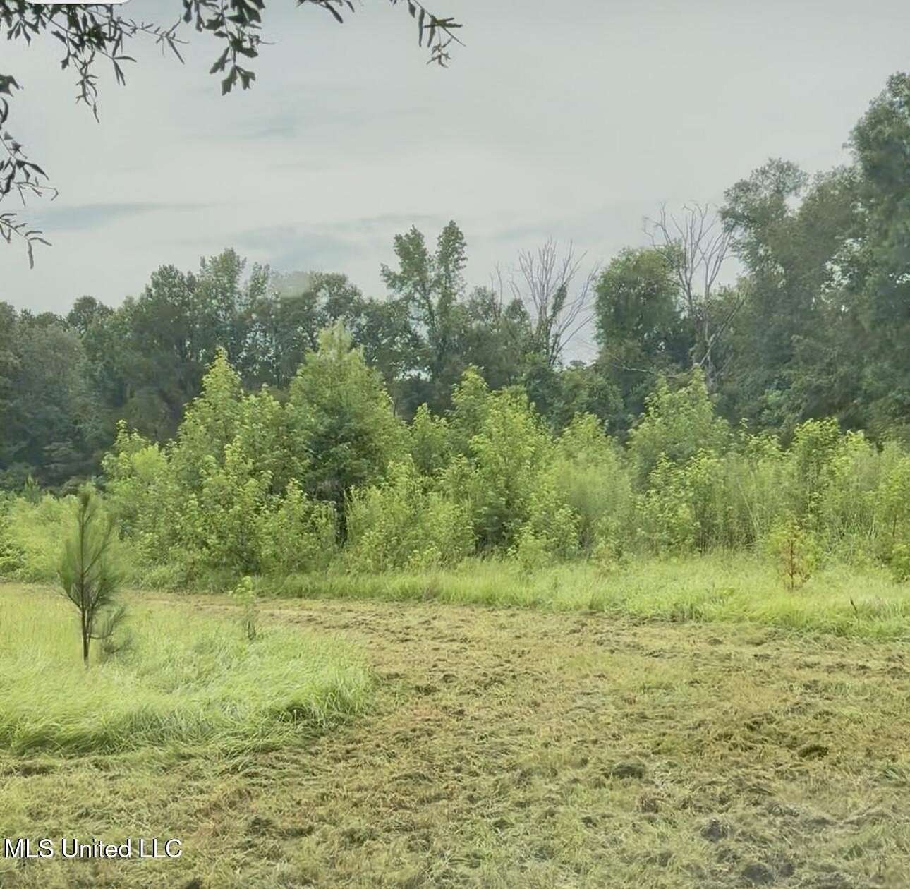 6.5 Acres of Residential Land for Sale in Crystal Springs, Mississippi