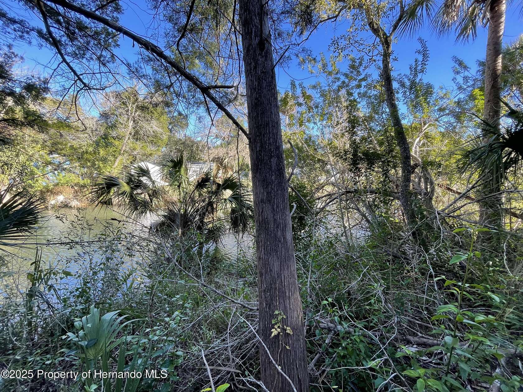 0.16 Acres of Residential Land for Sale in Weeki Wachee, Florida