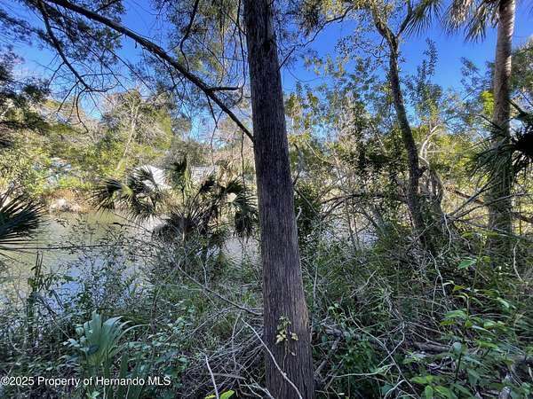 0.16 Acres of Residential Land for Sale in Weeki Wachee, Florida