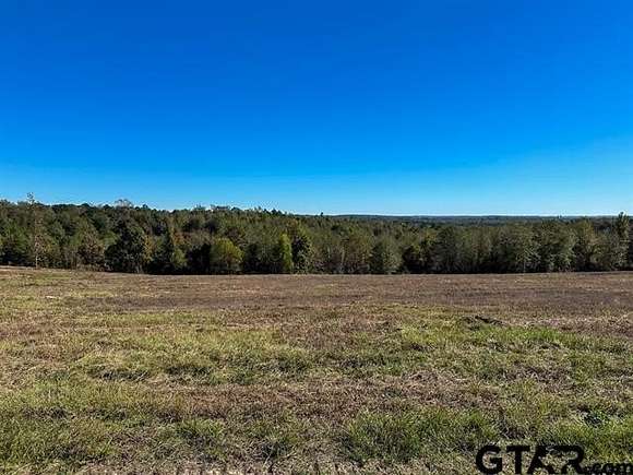 19 Acres of Land for Sale in Henderson, Texas