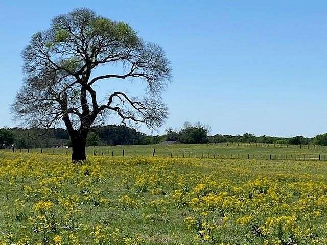41.4 Acres of Recreational Land for Sale in LaRue, Texas
