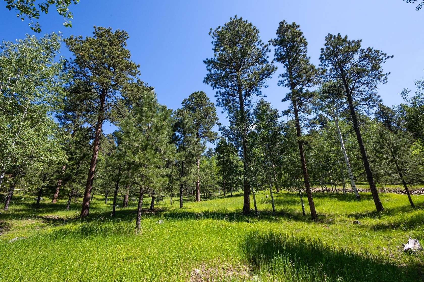 2 Acres of Residential Land for Sale in Deadwood, South Dakota