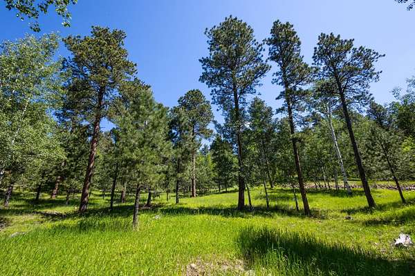 2 Acres of Residential Land for Sale in Deadwood, South Dakota
