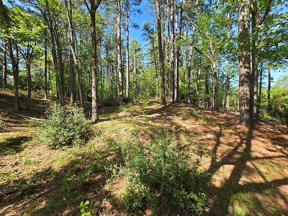 2.6 Acres of Residential Land for Sale in Palestine, Texas