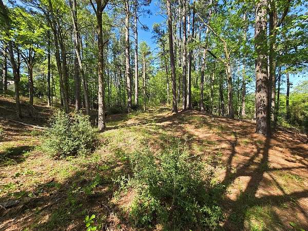 2.6 Acres of Residential Land for Sale in Palestine, Texas