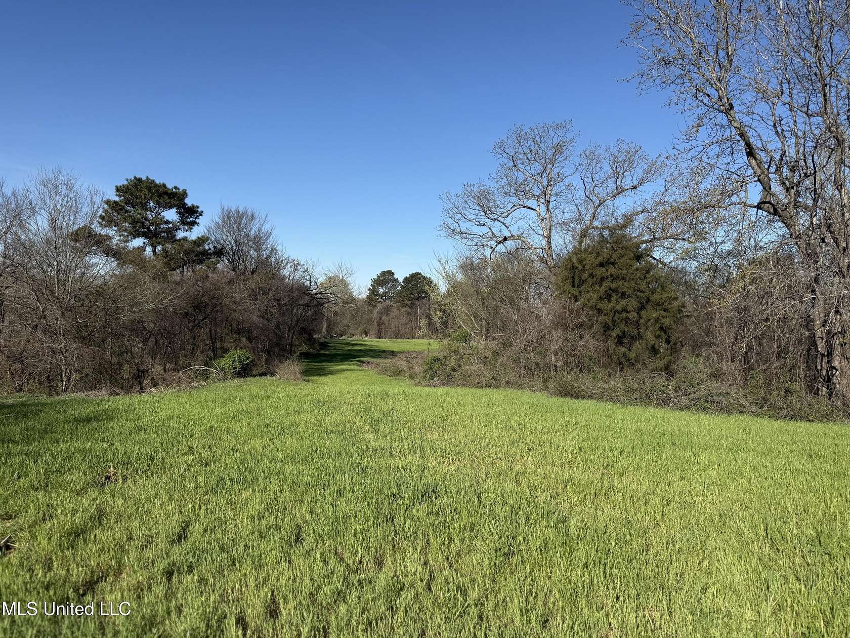 180 Acres of Land for Sale in Tillatoba, Mississippi