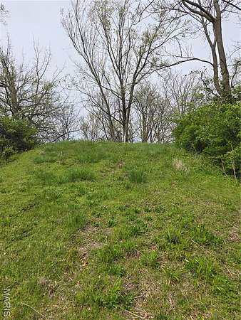 0.13 Acres of Land for Sale in St. Louis, Missouri