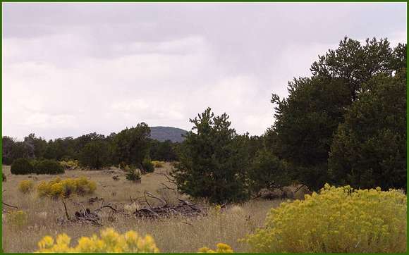 42.3 Acres of Recreational Land for Sale in Quemado, New Mexico