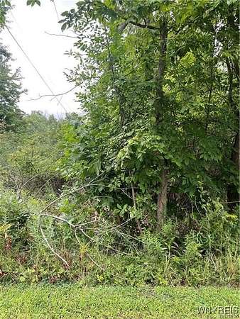 0.14 Acres of Land for Sale in Angola, New York