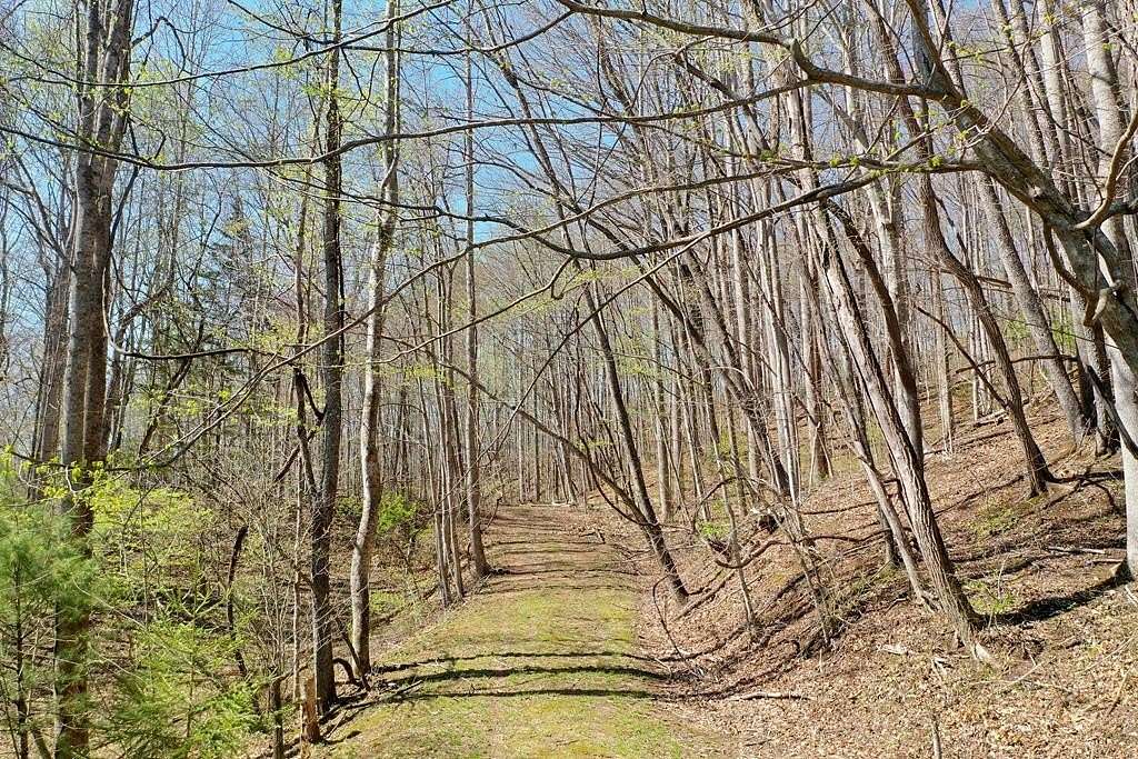 3.66 Acres of Residential Land for Sale in Sylva, North Carolina