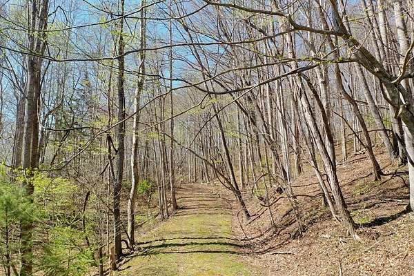 3.66 Acres of Residential Land for Sale in Sylva, North Carolina