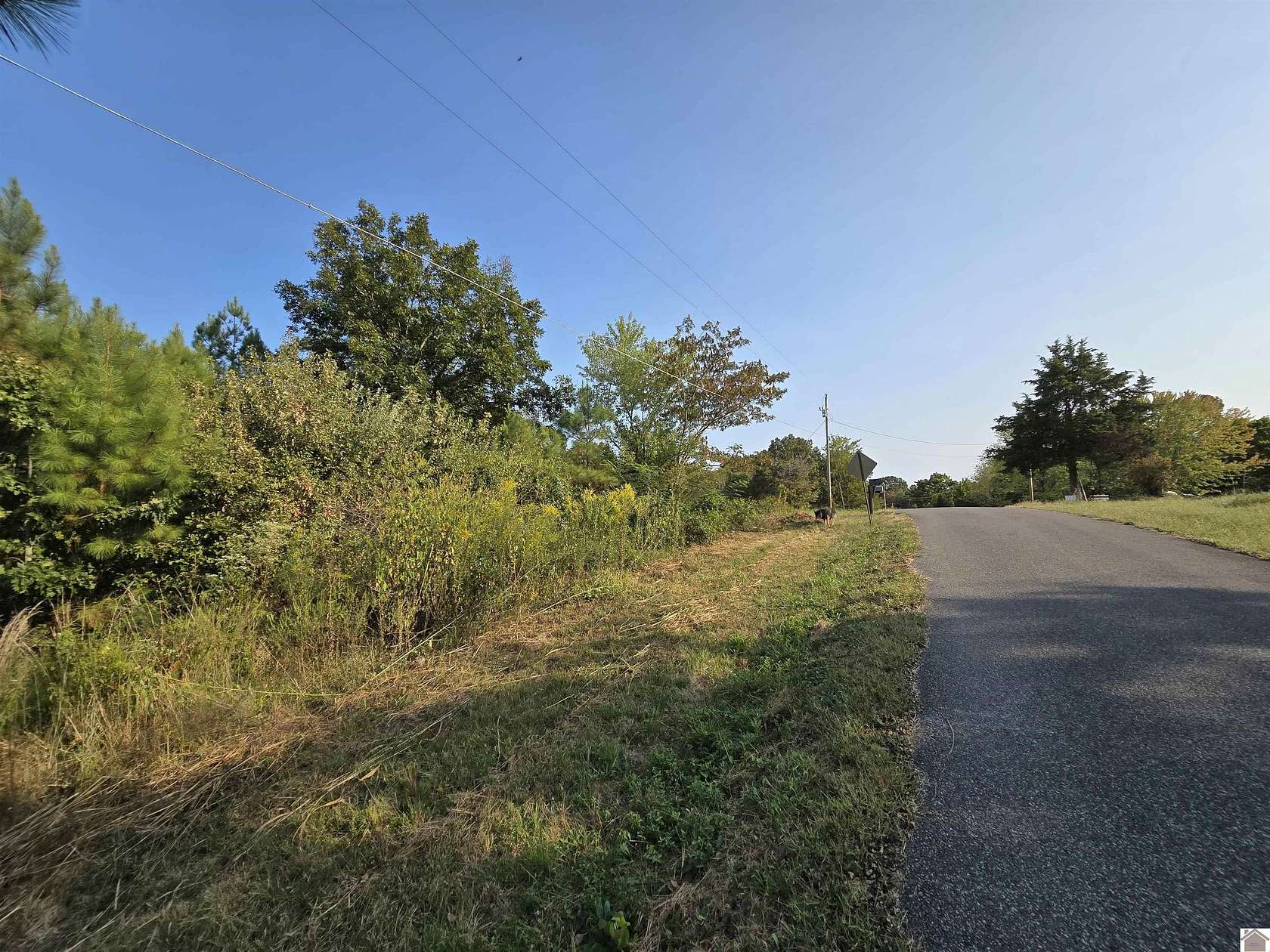 1.38 Acres of Residential Land for Sale in Gilbertsville, Kentucky