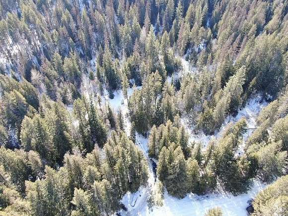 22 Acres of Land for Sale in Kettle Falls, Washington