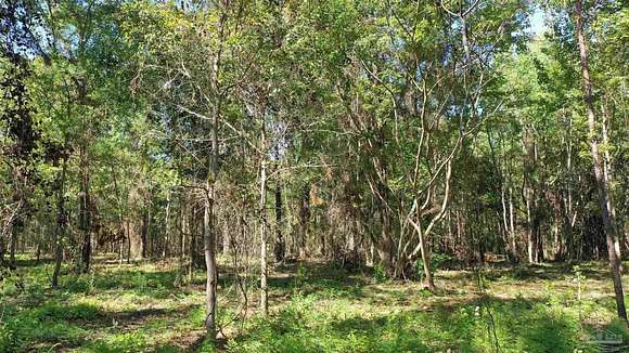3.65 Acres of Land for Sale in Atmore, Alabama