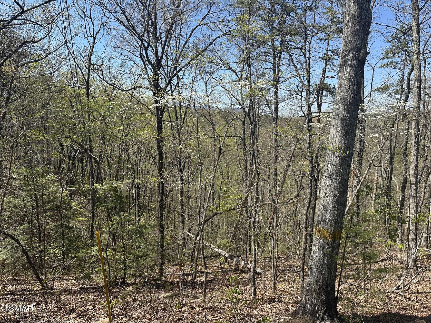 2.74 Acres of Residential Land for Sale in Pigeon Forge, Tennessee