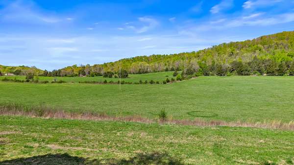 68.4 Acres of Agricultural Land for Sale in Ten Mile, Tennessee