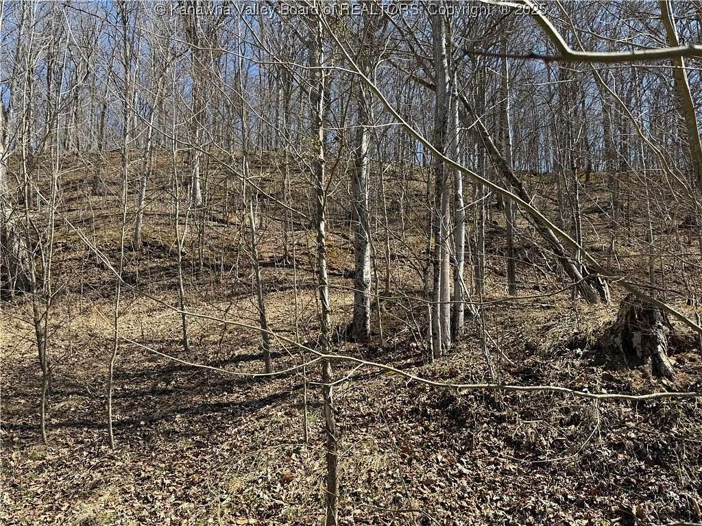 0.8 Acres of Land for Sale in Ravenswood, West Virginia