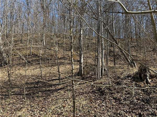0.8 Acres of Land for Sale in Ravenswood, West Virginia