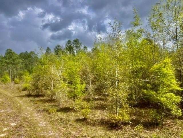 20 Acres of Land for Sale in Branford, Florida