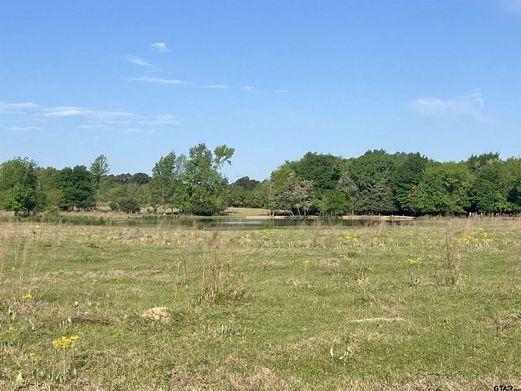 16.5 Acres of Agricultural Land for Sale in Mount Pleasant, Texas