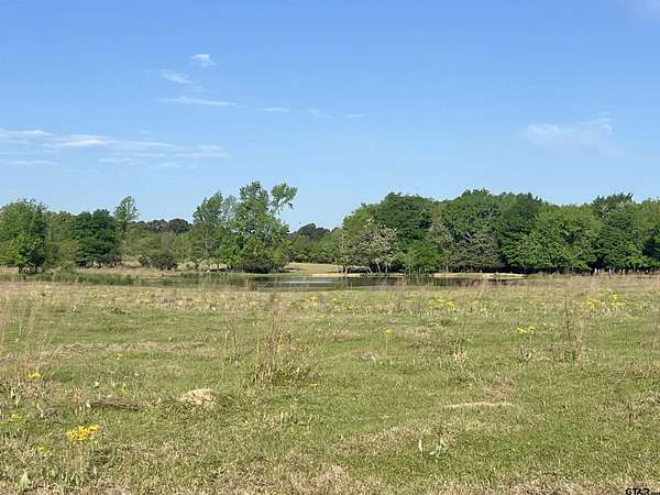 16.5 Acres of Land for Sale in Mount Pleasant, Texas