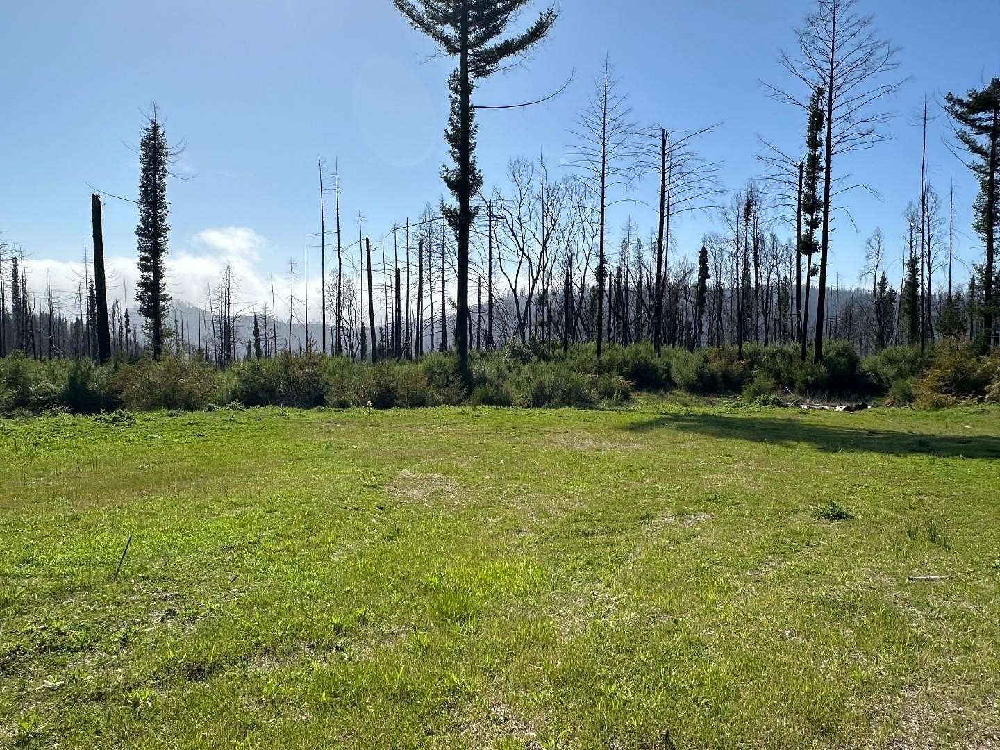 50 Acres of Recreational & Residential Land for Sale in Davenport, California