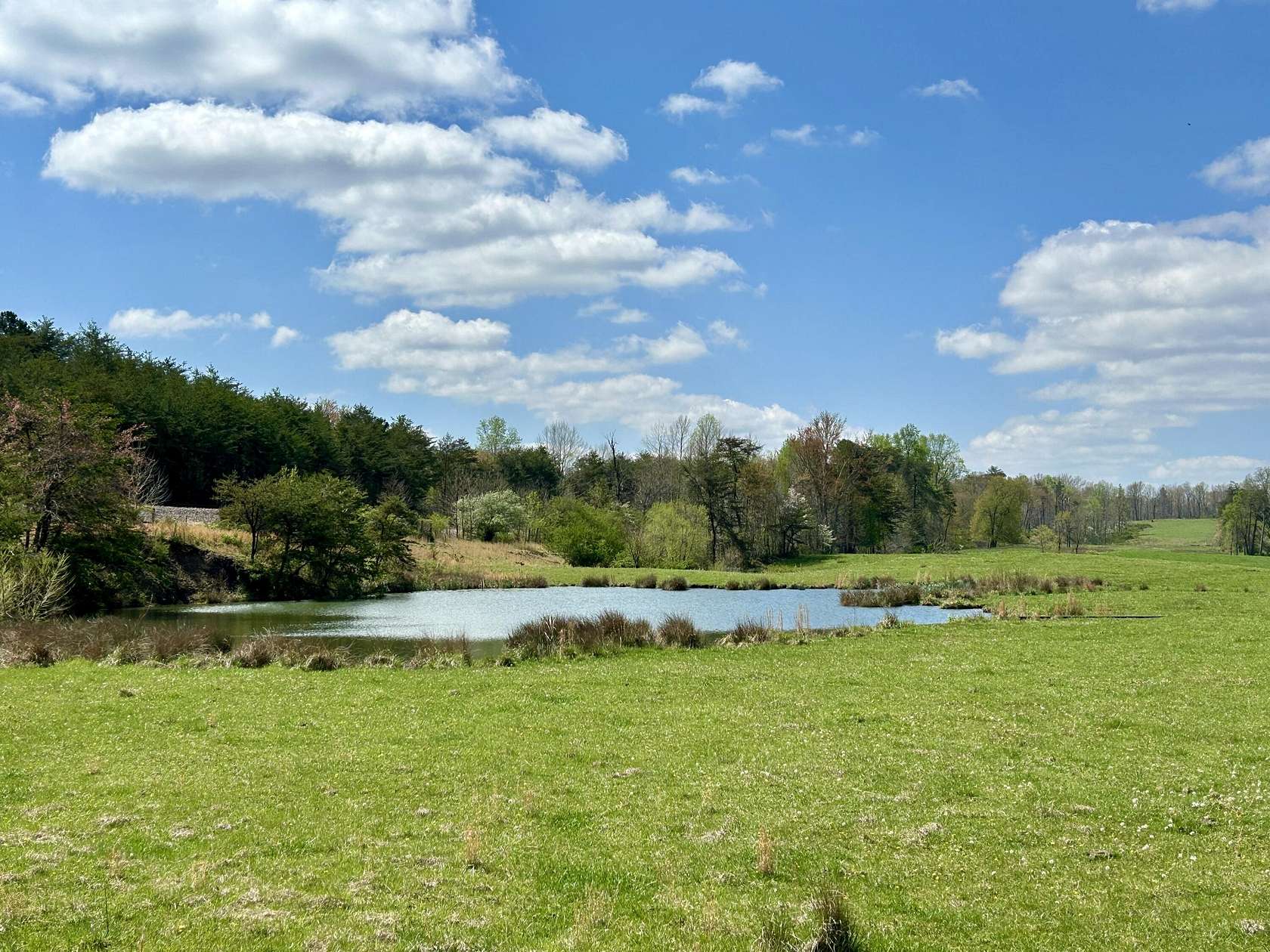 62.6 Acres of Agricultural Land for Sale in Strunk, Kentucky