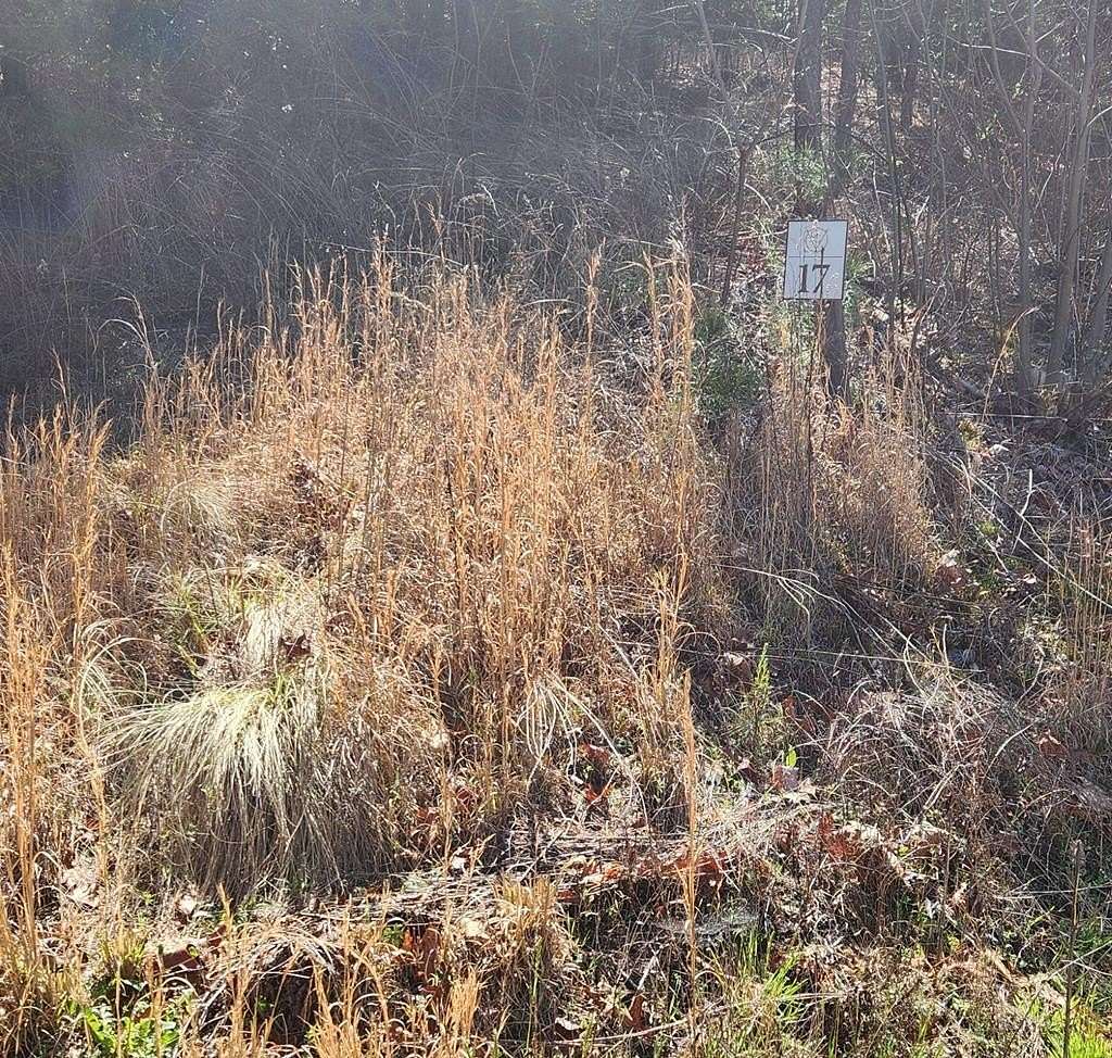 1 Acre of Residential Land for Sale in Whittier, North Carolina