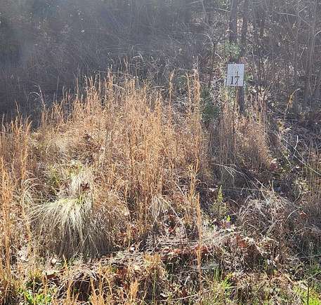 1 Acre of Residential Land for Sale in Whittier, North Carolina