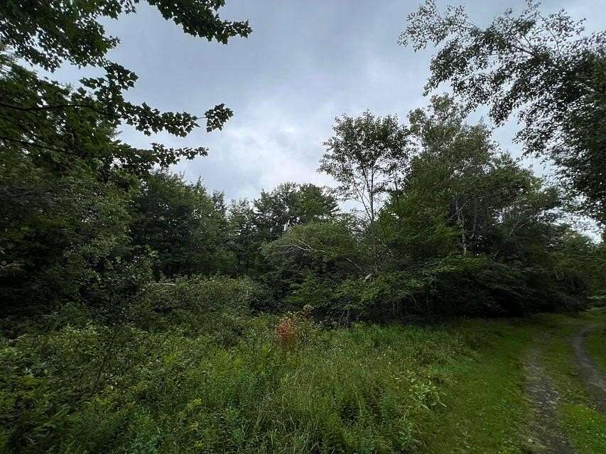 255 Acres of Recreational Land for Sale in Churubusco, New York