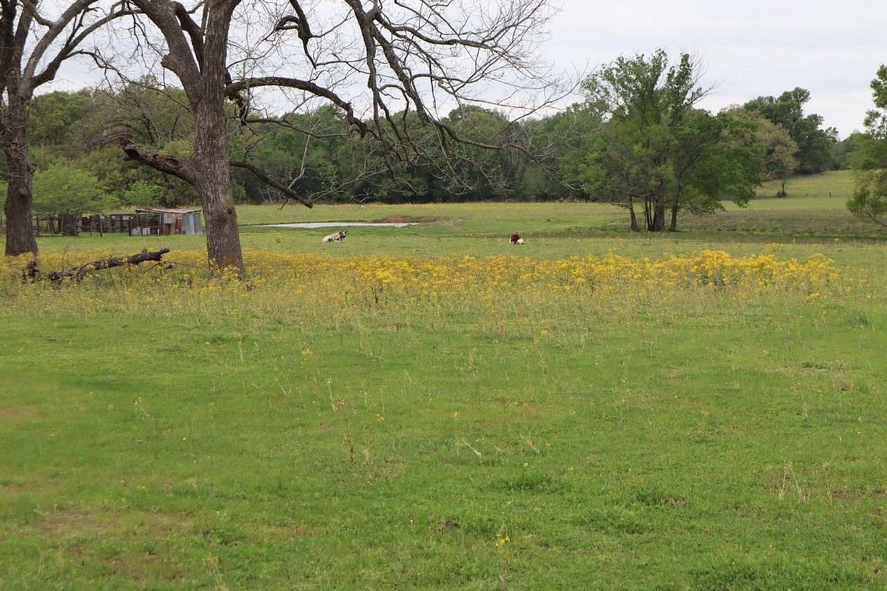 29.3 Acres of Agricultural & Residential Land for Sale in Alba, Texas