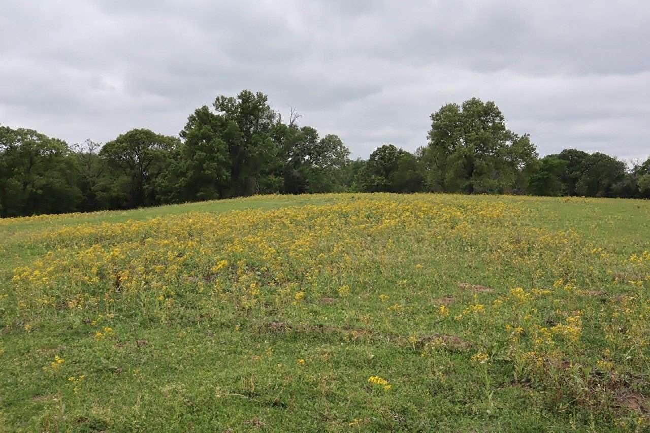 29.3 Acres of Agricultural & Residential Land for Sale in Alba, Texas
