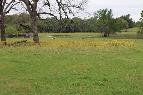 29.3 Acres of Agricultural & Residential Land for Sale in Alba, Texas