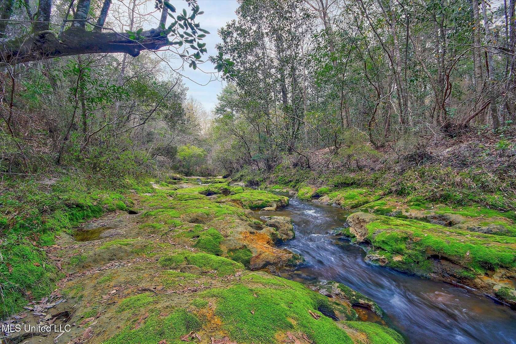 23 Acres of Land for Sale in Kiln, Mississippi