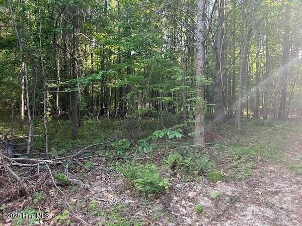 5.83 Acres of Residential Land for Sale in Elizabeth City, North Carolina