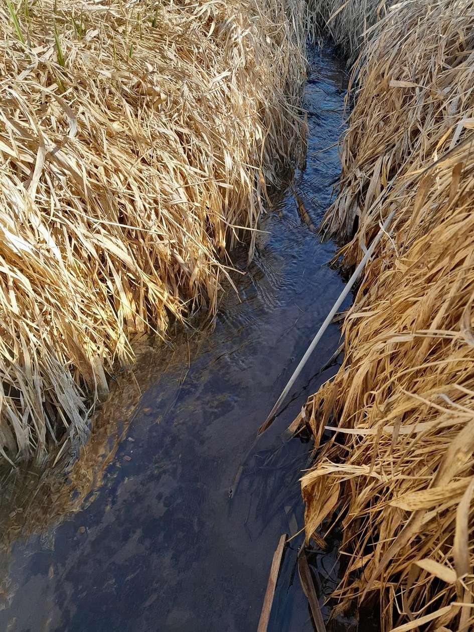 9 Acres of Residential Land for Sale in Bloomington, Wisconsin