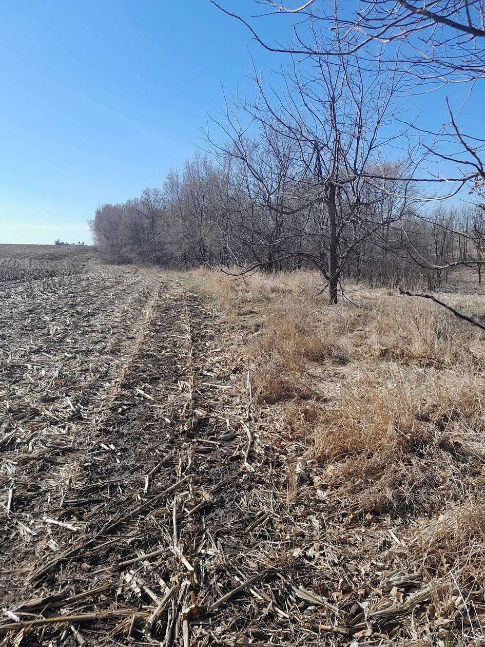 9 Acres of Land for Sale in Bloomington, Wisconsin