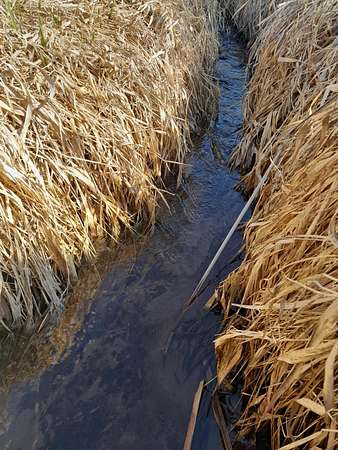 9 Acres of Residential Land for Sale in Bloomington, Wisconsin