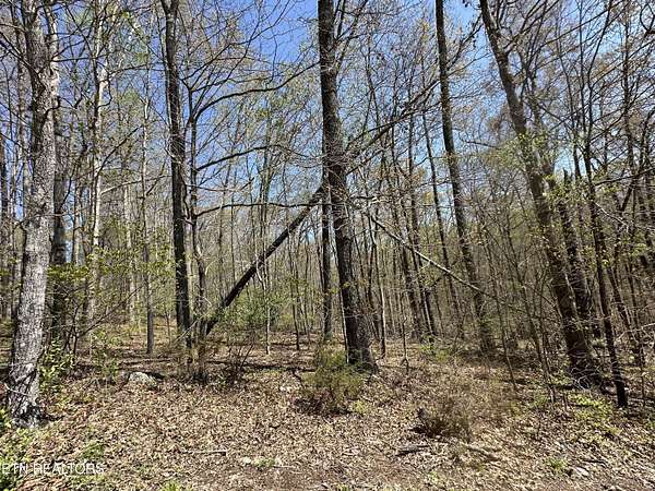 4.5 Acres of Residential Land for Sale in La Follette, Tennessee