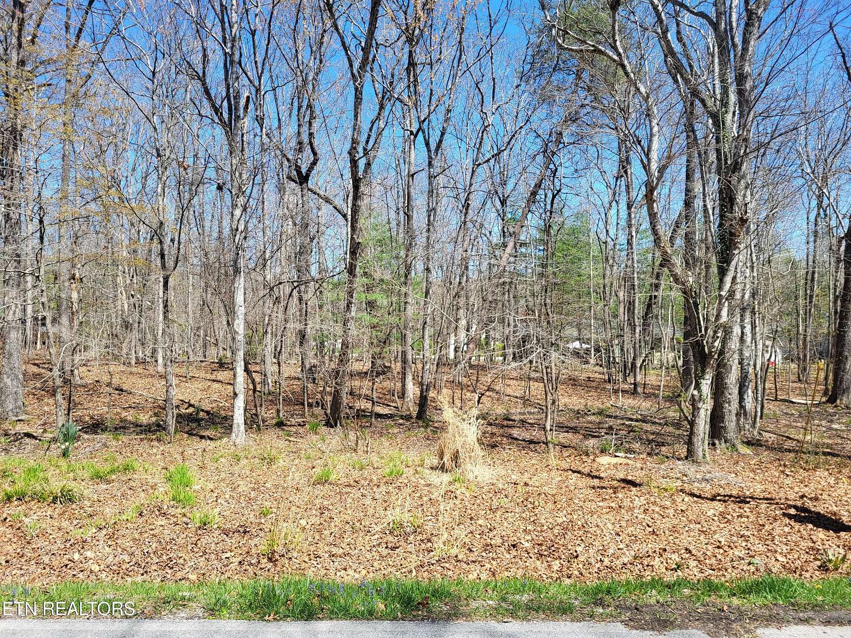 0.25 Acres of Land for Sale in Crossville, Tennessee