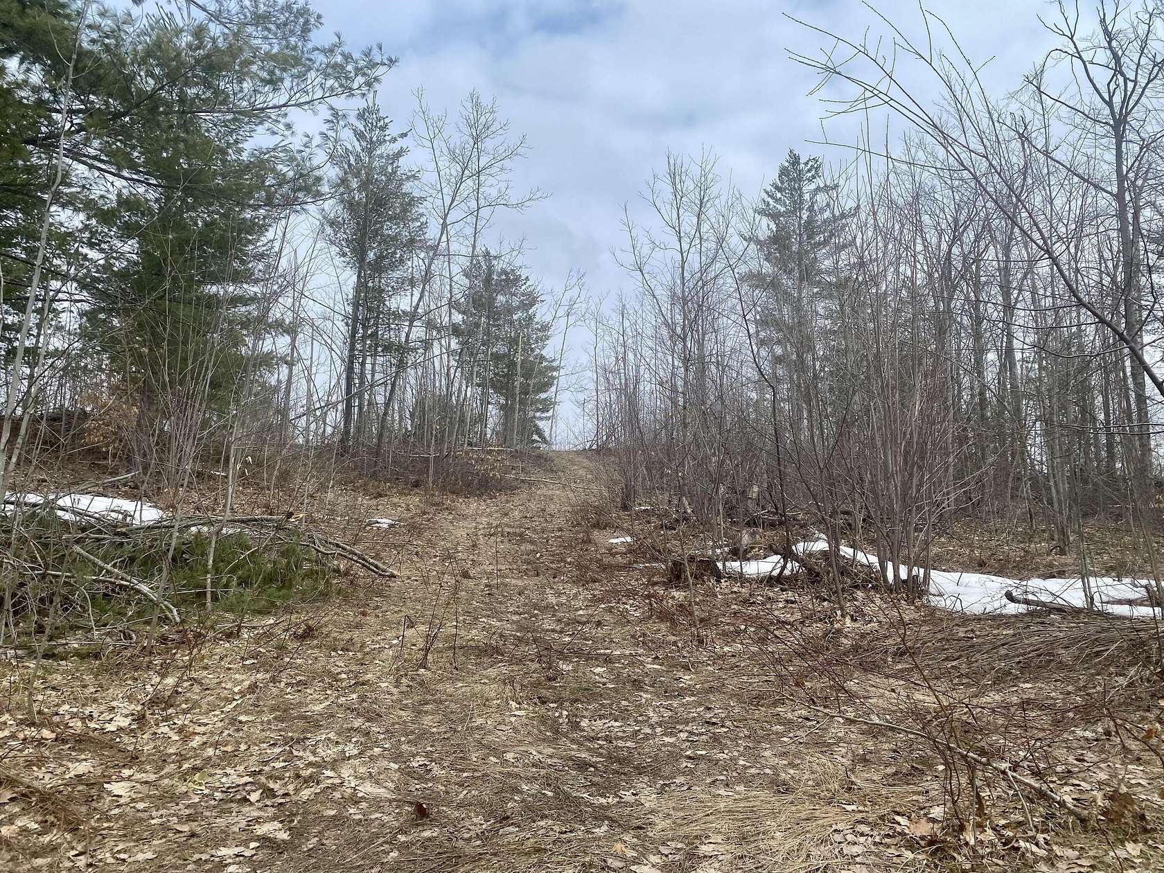 7.6 Acres of Residential Land for Sale in Gaylord, Michigan