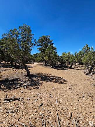 10 Acres of Recreational Land for Sale in Fruitland, Utah