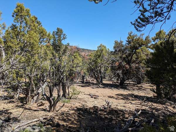 10 Acres of Recreational Land for Sale in Fruitland, Utah