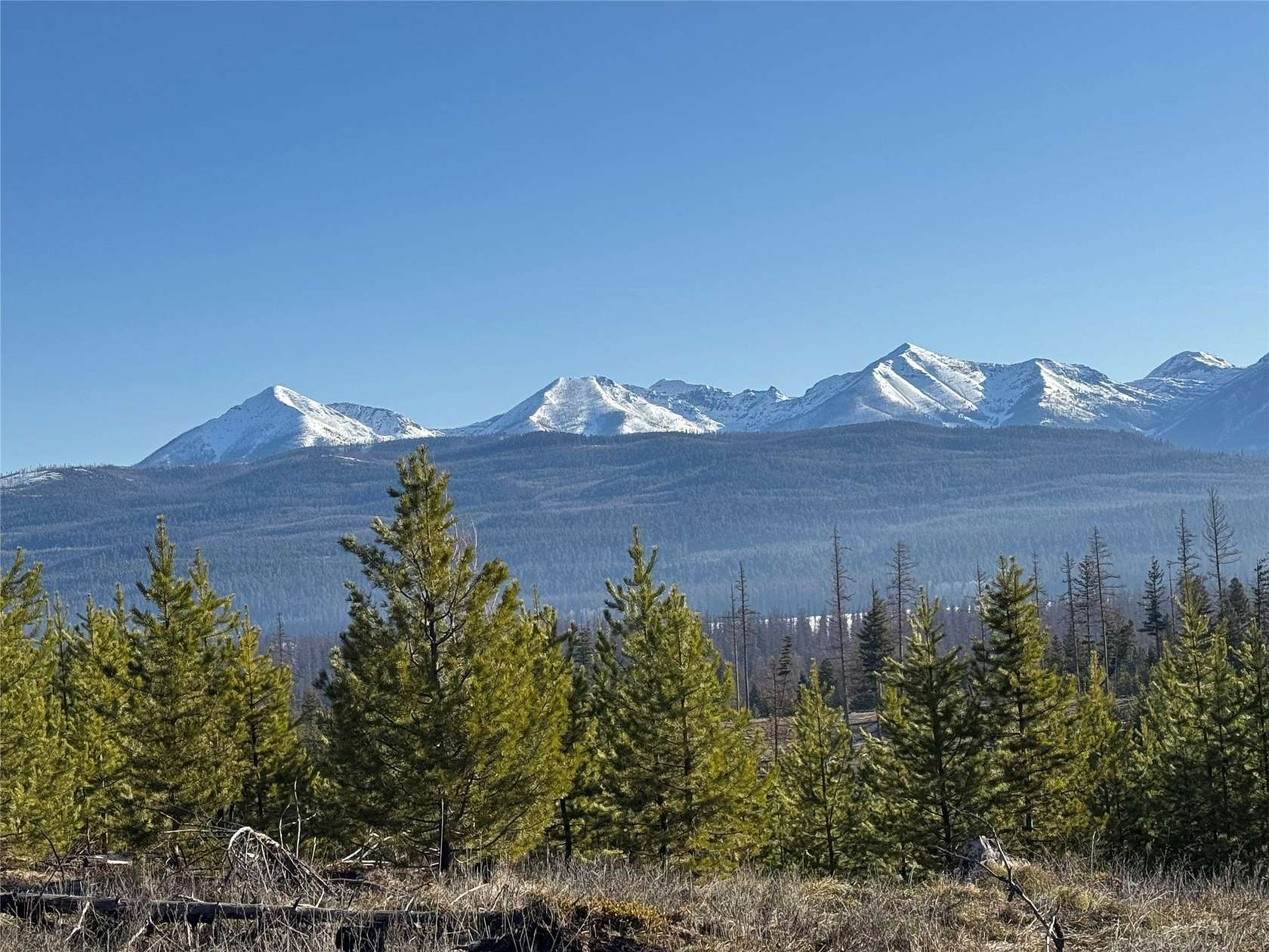20 Acres of Recreational Land for Sale in Seeley Lake, Montana