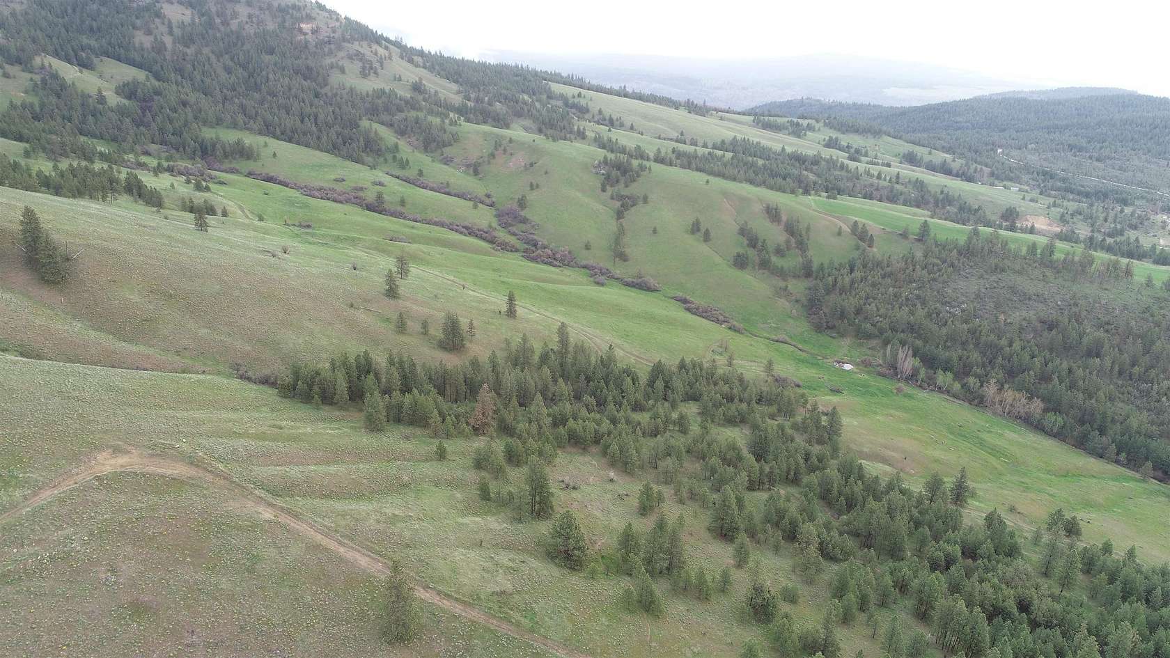 564 Acres of Land for Sale in Davenport, Washington