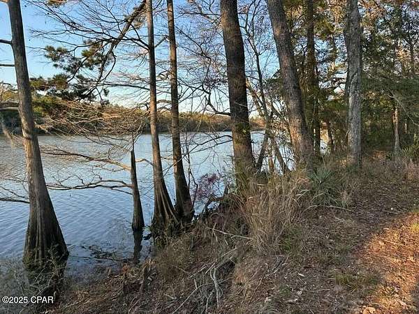 10.6 Acres of Recreational Land for Sale in Ebro, Florida